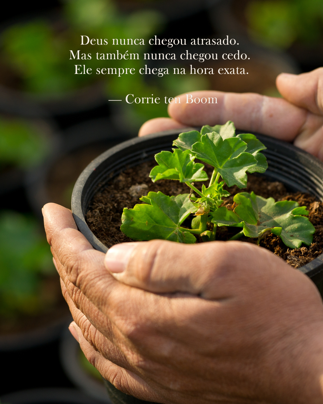 Deus está agindo