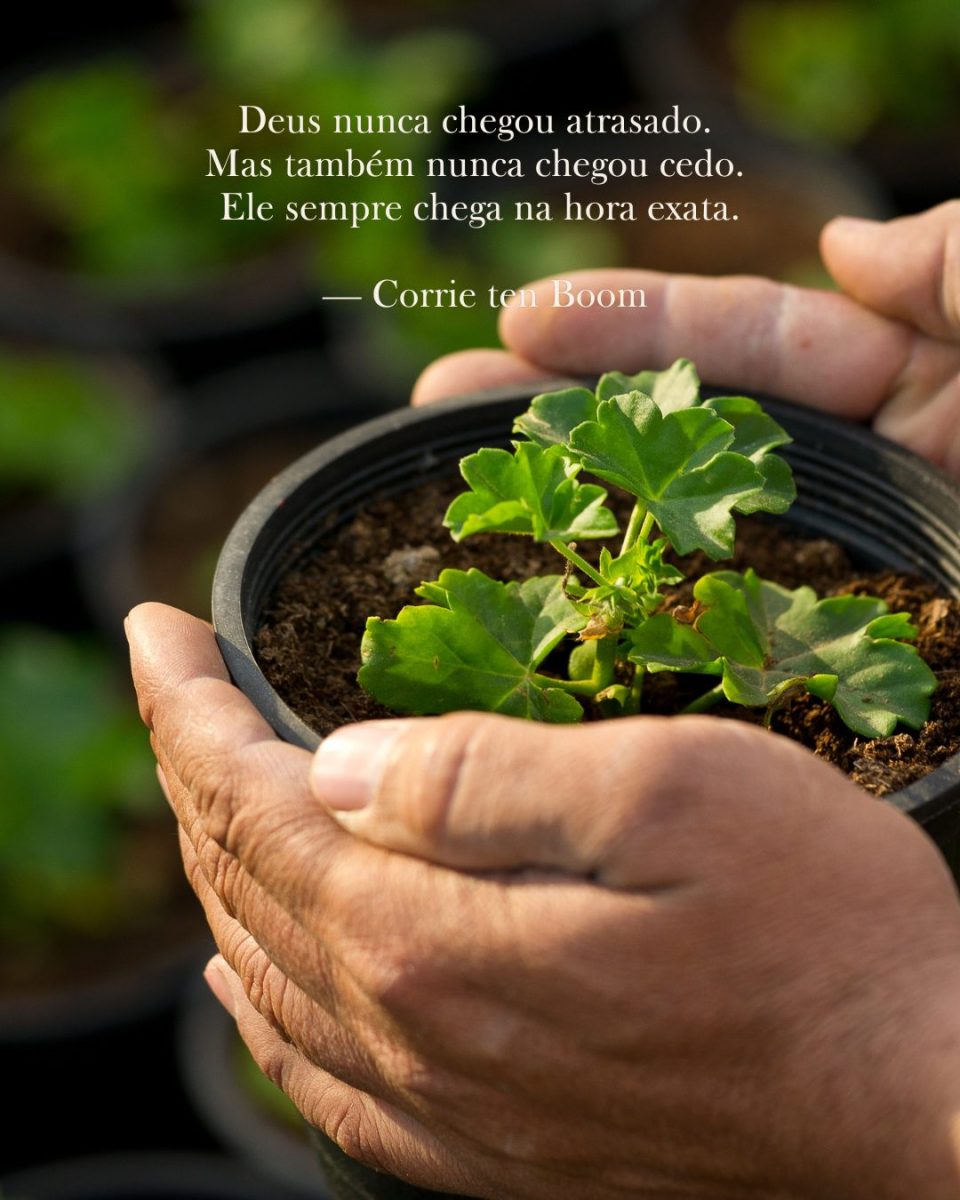 Deus está agindo